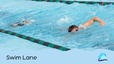 Swim Lane